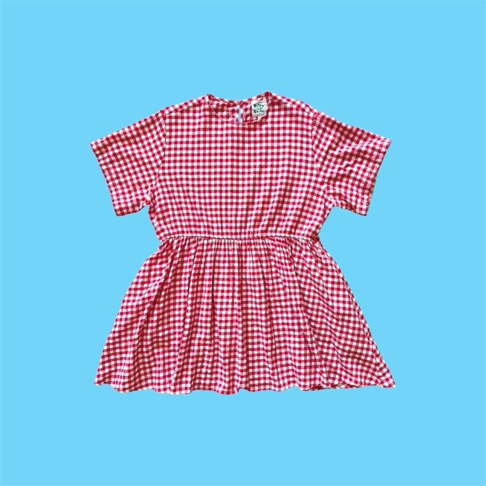 Shiny by Nature Red Gingham Mini Dress